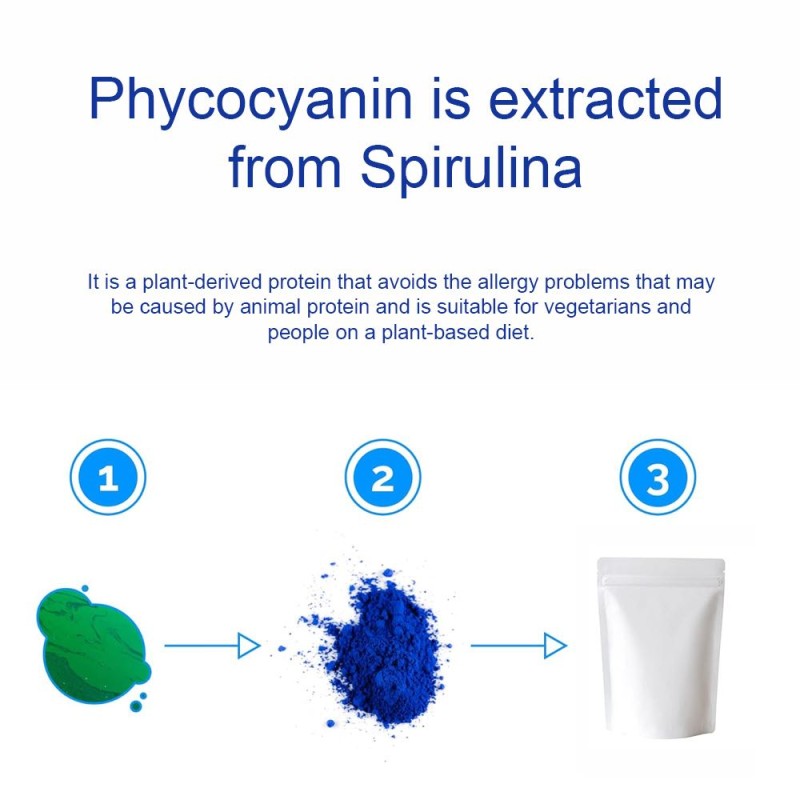 Blue Spirulina Powder Manufacturer - High Protein Spray Dried Customizable