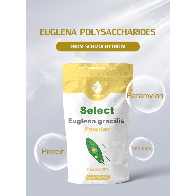 Yellow Chlorella Powder Supplier - 60% Naked Algae Paramylon Powder