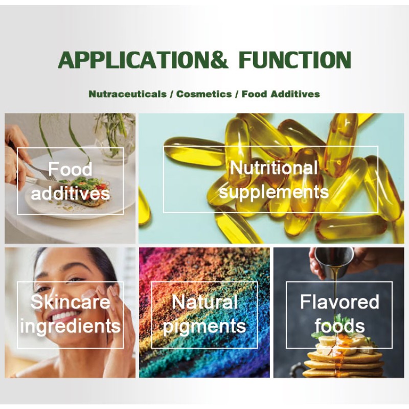 Microalgae Powder Manufacturer - 3% Beta Carotene Dunaliella Free Sample