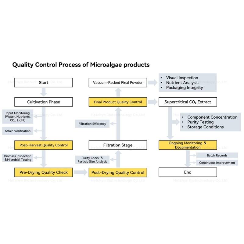 Dunaliella Salina Extract Supplier - 20% Beta Carotene Food Grade
