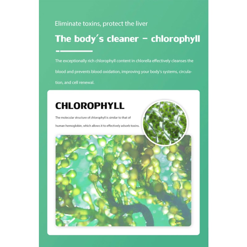 Chlorella Powder Supplier - Microalgae Aquatic Feed High Protein