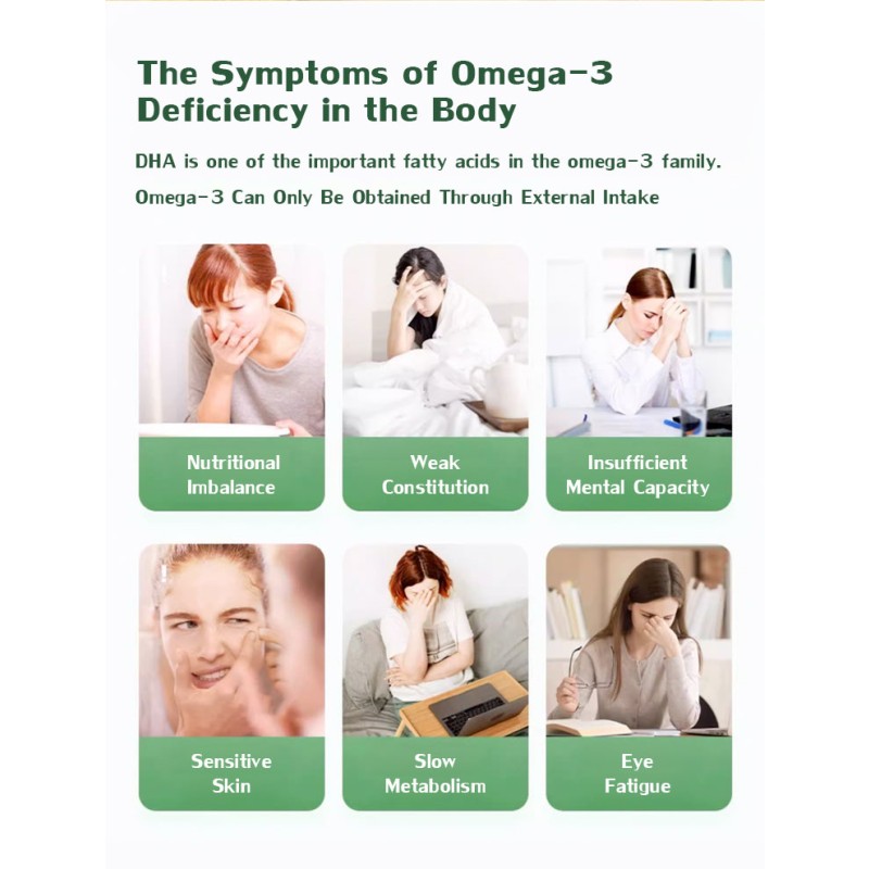 Schizochytrium Algae Powder Factory - 18% DHA Powder Bulk Drum