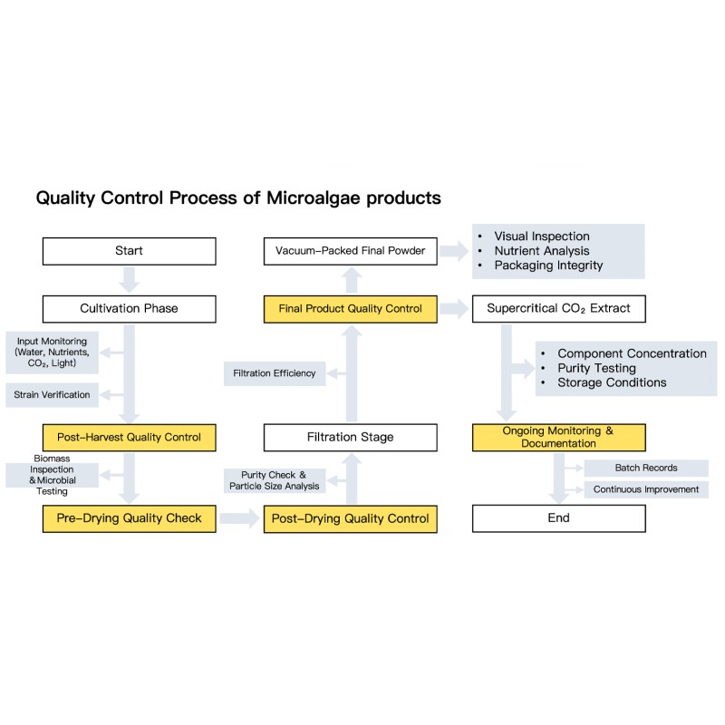 Dunaliella Salina Powder Manufacturer - 3% Natural Antioxidant Supplement