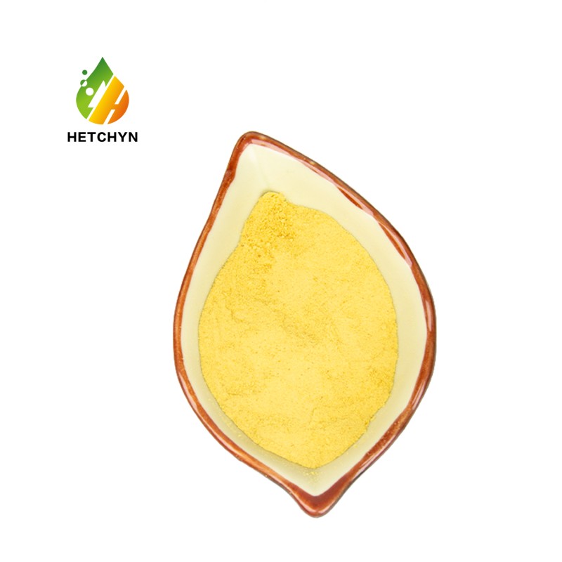 Schizochytrium Algae Powder Factory - 18% DHA Powder Bulk Drum