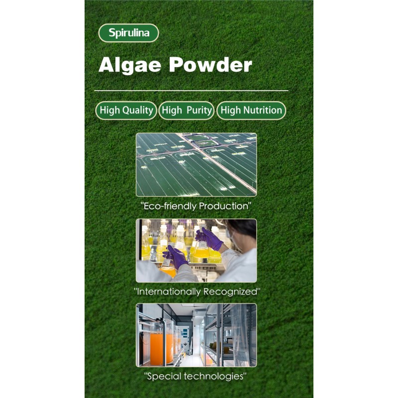 Chlorella Powder Manufacturer - Natural Growth Factor Nutritional