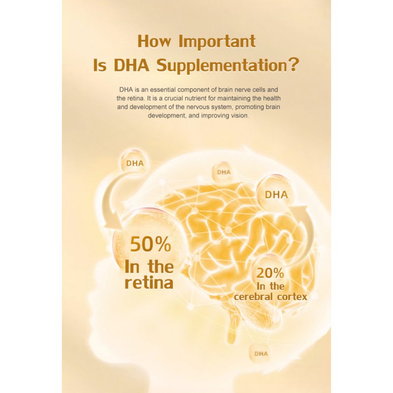 Schizochytrium Powder Supplier - 22% DHA Powder Light DHA Oil