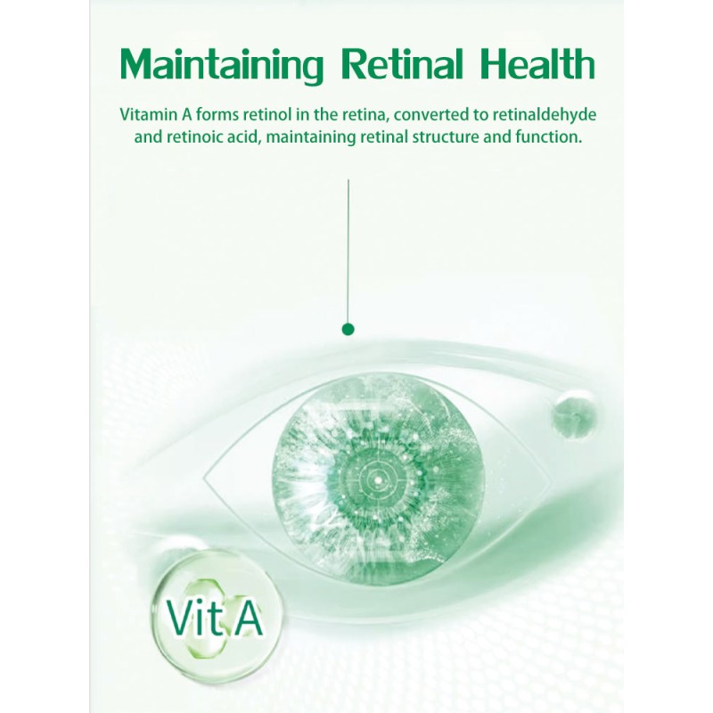 Dunaliella Salina Powder Supplier - 3% 8% Beta Carotene Bulk Wholesale