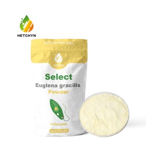 Euglena Powder Factory - Paraxanthine Nutrition Supplement 60%