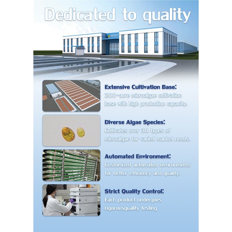 Astaxanthin Softgels Manufacturer - 12mg Microalgae Extract OEM/ODM Wholesale