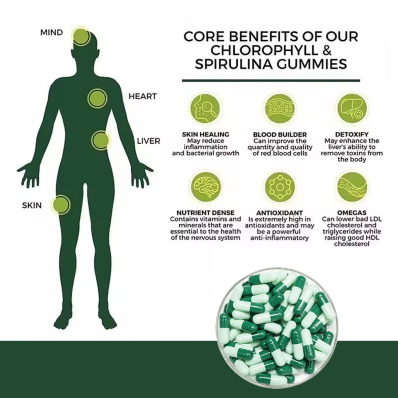 Spirulina Chlorella Tablets Manufacturer - Protein Vitamin Rich Capsules