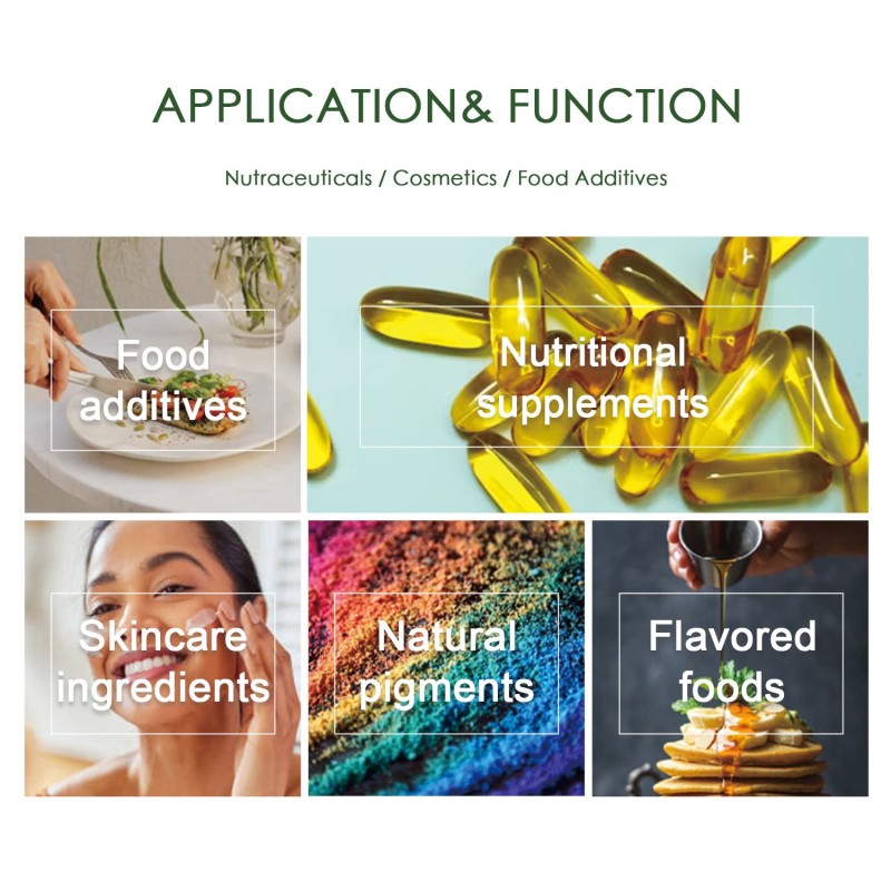 Beta-carotene Oil Supplier - 30% Natural Seed Elaeis Guineensis