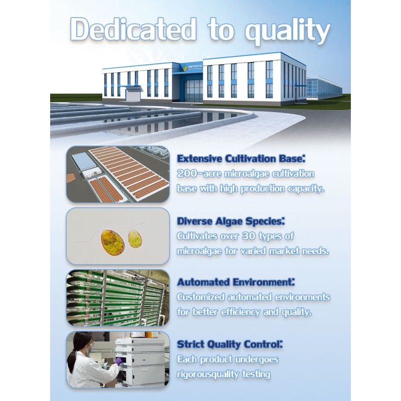 Chlorella Powder Manufacturer - Natural Growth Factor Nutritional