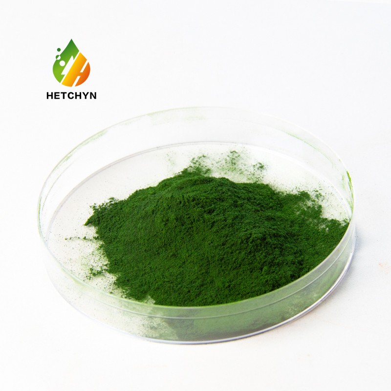 Chlorella Protein Powder Manufacturer - Sustainable Plant-Based Nutrition