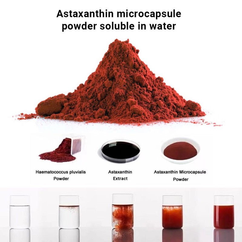 Haematococcus Pluvialis Extract Factory - 3% 5% 10% Astaxanthin Custom