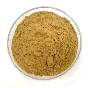 Rhodiola Extract Manufacturer - Rosea Root Powder Bulk