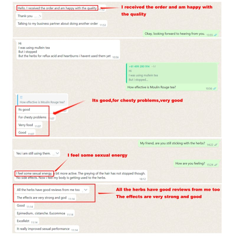 Cornus Extract Factory - Natural Organic Fruit Powder