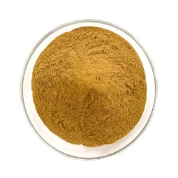 Cornus Extract Factory - Natural Organic Fruit Powder