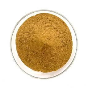 Cornus Extract Factory - Natural Organic Fruit Powder