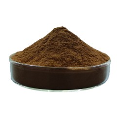 Silkworm Chrysalis Extract Factory - Traditional Chinese Medicine