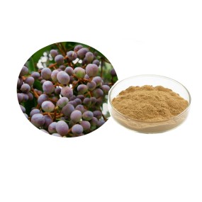 Ligustrum Extract Powder Supplier - 10:1 20:1 Glossy Privet Custom