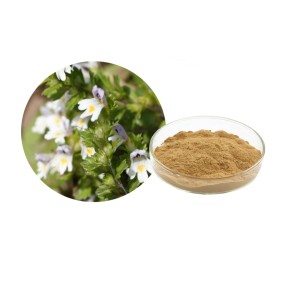 Eyebright Extract Powder Manufacturer - 25% Flavonoids 10:1 Bulk