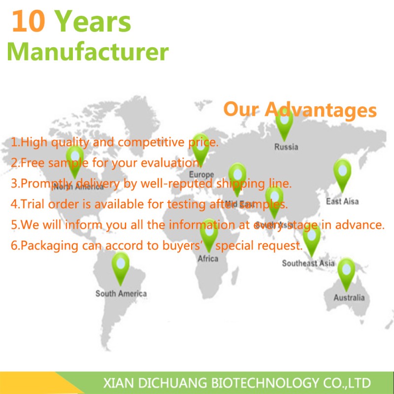 Pycnogenol Extract Powder Manufacturer - Bulk Custom Powder Supply