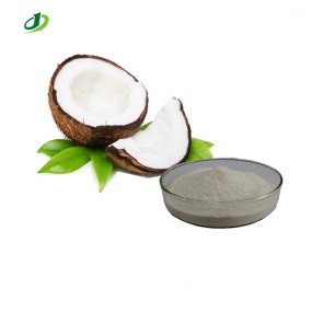 Coconut Milk Powder Supplier - Instant Milk Juice Powder Food Grade