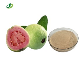 Red Guava Powder Manufacturer - Fruit Juice Extract Powder Custom