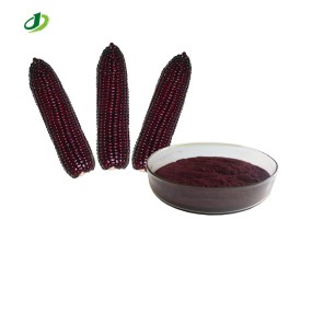 Purple Corn Extract Supplier - 1%-25% Anthocyanidins Black Corn