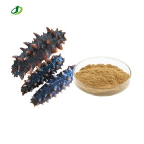Sea Cucumber Extract Powder Supplier - 20:1 TLC Standard Bulk