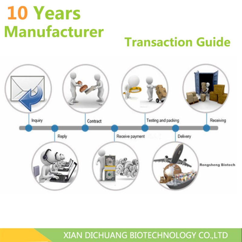 Sweet Corn Extract Powder Factory - Spray Dried Food Additive Bulk