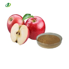 Green Apple Extract Powder Supplier - 80% Polyphenols Custom Extract