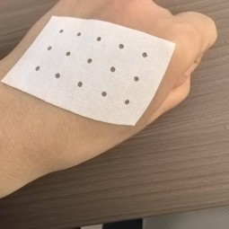 Herbal Ginger Patch Factory - Capsicum Pain Relief OEM