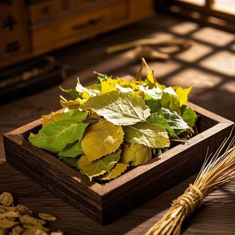 Mulberry Leaf Tea Factory - Natural Dry Herbs Whole Leaf