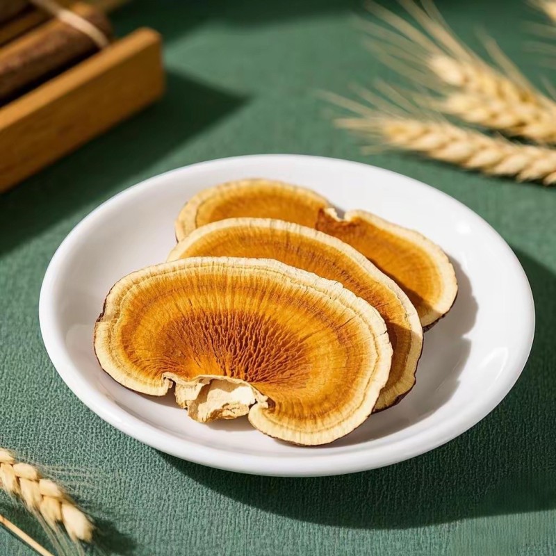 Ganoderma Lucidum Supplier - Organic Reishi Slices Whole