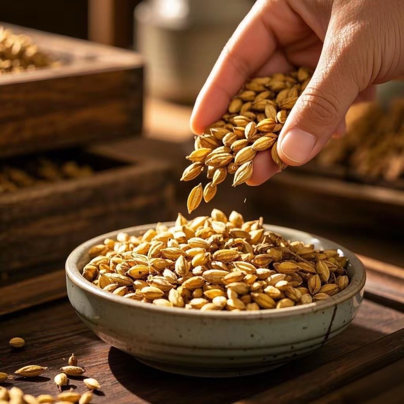 Malt Extract Factory - Organic Barley Malt Powder Pure