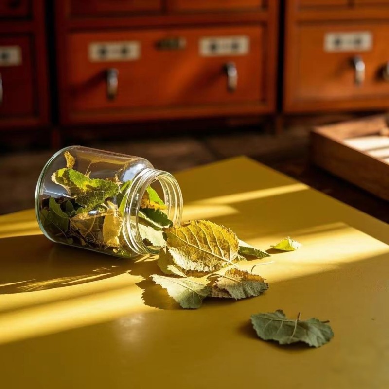 Mulberry Leaf Tea Factory - Natural Dry Herbs Whole Leaf