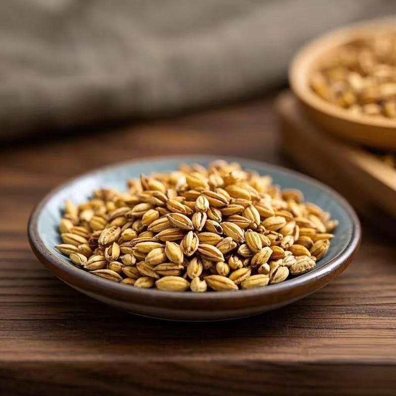 Malt Extract Factory - Organic Barley Malt Powder Pure