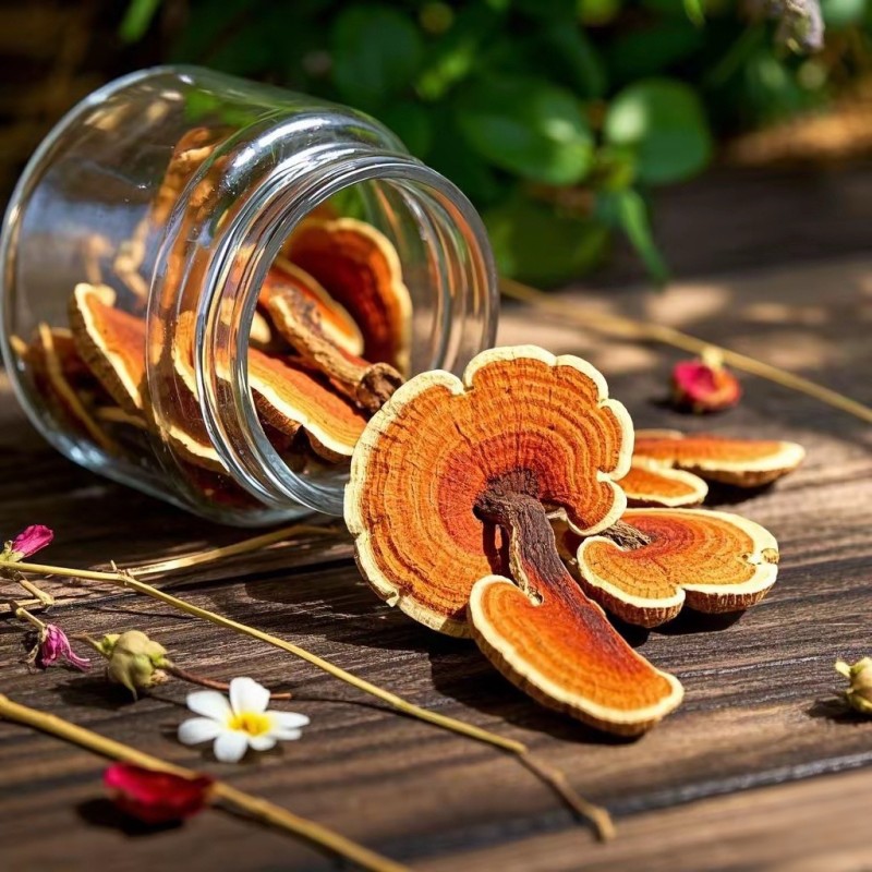 Ganoderma Lucidum Supplier - Organic Reishi Slices Whole