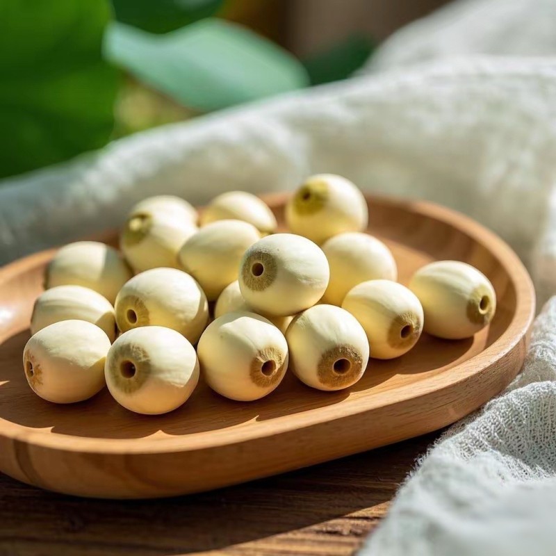 Lotus Seed Manufacturer - Freshly Shelled Natural Dried Bulk