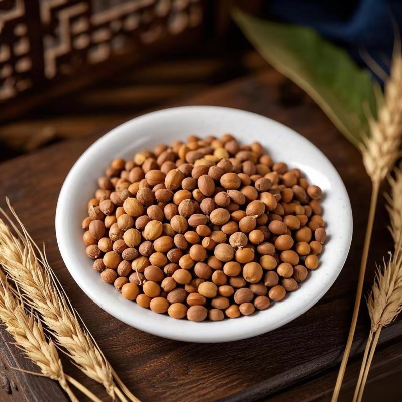 Radish Seeds Manufacturer - Lai Fu Zi Dried Spices Wholesale