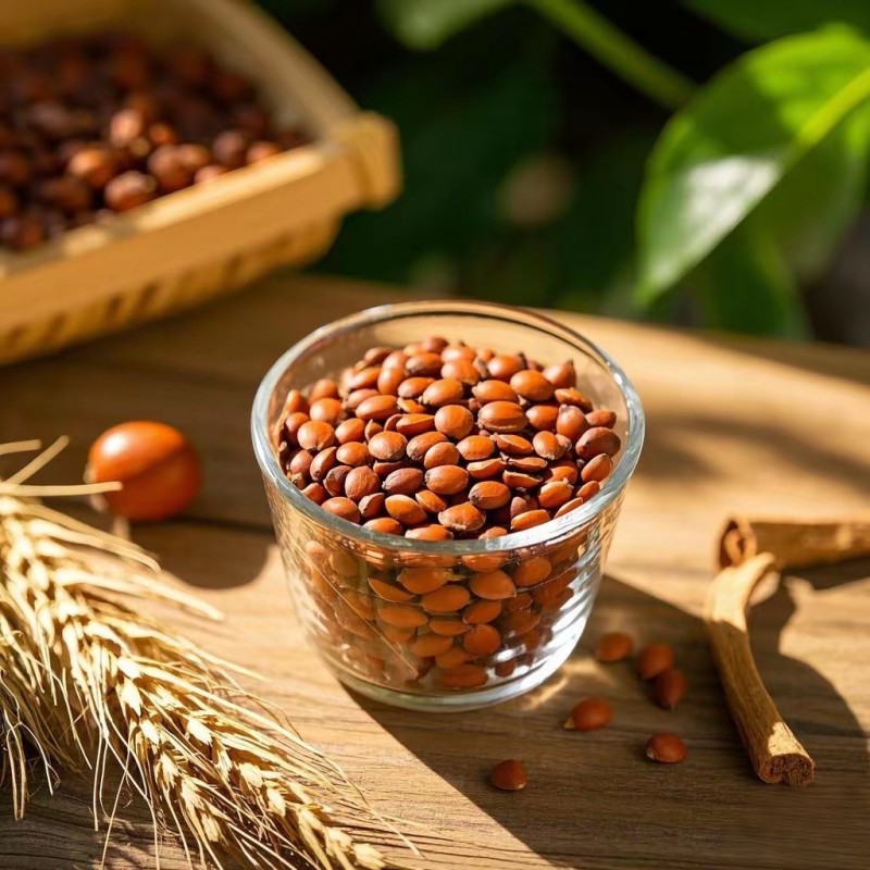 Spine Date Supplier - Suan Zao Ren Natural Herb Bulk