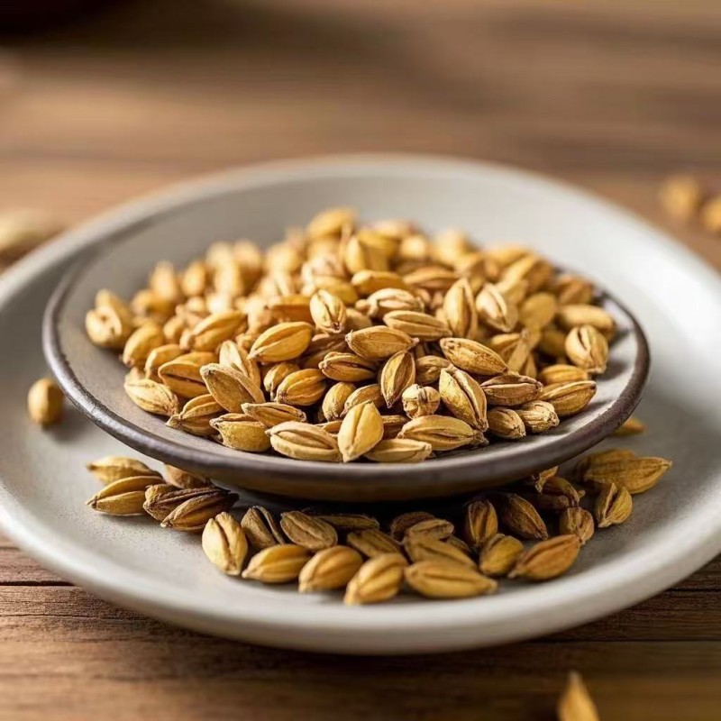 Barley Malt Powder Factory - Organic Extract Pure Natural