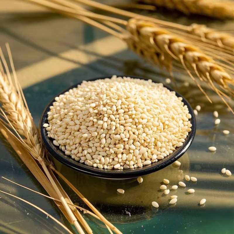 Sesame Seeds Supplier - Roasted White Natural Taste Bulk