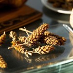 Single spices and herbs