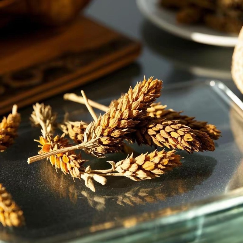 Prunella Vulgaris Manufacturer - Dried Self Heal Herb Bulk