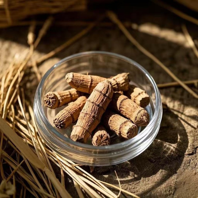 Galangal Root Supplier - Dried Ginger Gao Liang Jiang Bulk