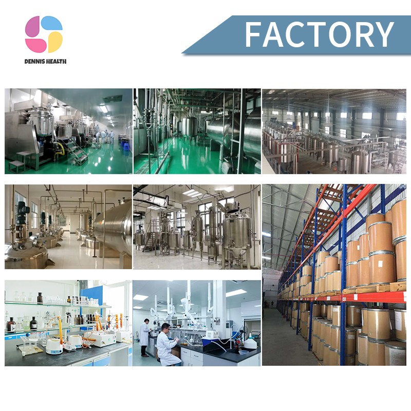 Wholesale Fo Ti Root Extract Organic Pure He Shou Wu Extract/Fo Ti Root Extract Powder