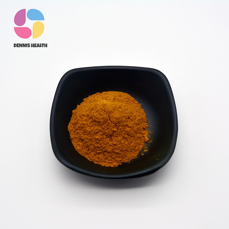 Best Price Ginkgo Biloba Extract Ginkgo 24% Flavonoids Ginkgo Biloba Extract Powder