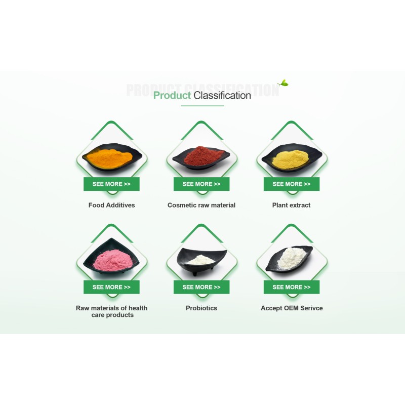 Best Price Ginkgo Biloba Extract Ginkgo 24% Flavonoids Ginkgo Biloba Extract Powder